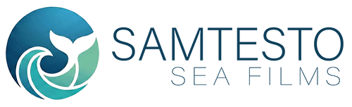 Samtesto Sea Films Logo